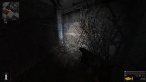 STALKER  ОП 2.2  Тайник Кости на Янтаре.