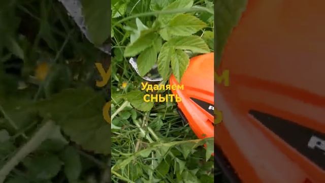 Удаляем СНЫТЬ электроножницами смотреть онлайн