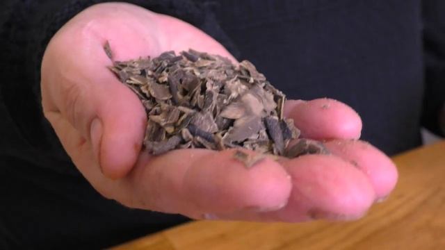 КОМНАТНЫЕ ЦВЕТЫ - Люблю Использовать Такую ПОДКОРМКУ. Мои цветы. Мой опыт. смотреть онлайн