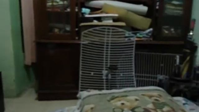 Testing Video Sony DSC-W530.wmv смотреть онлайн