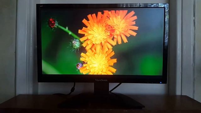 Prueba de monitor View Sonic 22" LED смотреть онлайн