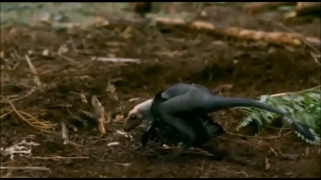 TRILOGY OF LIFE - Prehistoric Park - "microraptor" смотреть онлайн