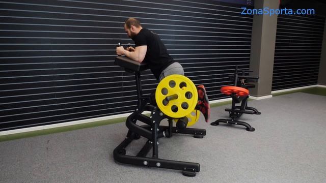 Обзор профессиональных тренажеров Bronze Gym PL-1714 и Bronze Gym PL-1719 смотреть онлайн
