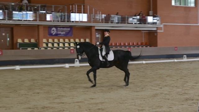 One day of dressage competitions. Horse Sibiriak. Svetlana Tkachenko смотреть онлайн