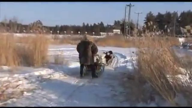 Познавательный видеословарь рыбака 24 смотреть онлайн