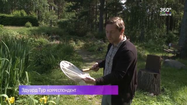Поймать стрекозу смотреть онлайн