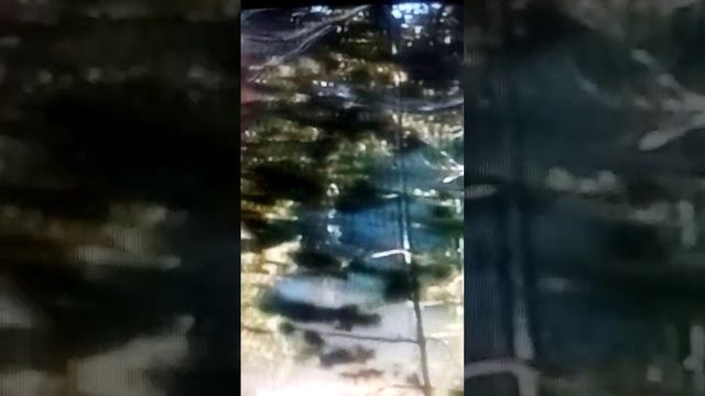 Ты придешь" Буду Ждать Тебя#любовь# смотреть онлайн