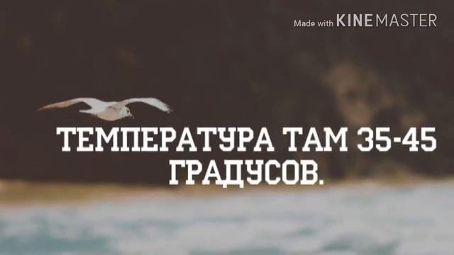Слайдки. смотреть онлайн