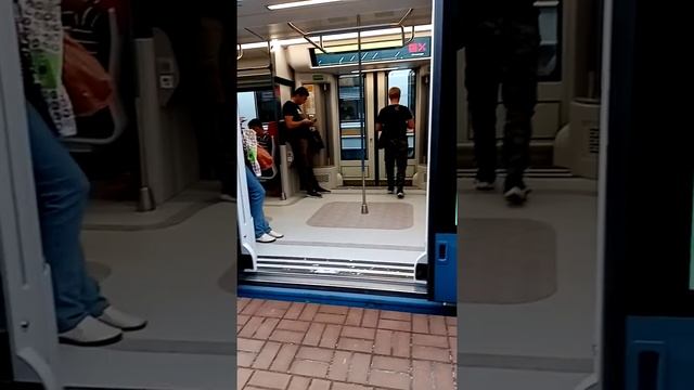 электропоезд ЭГ2ТВ 034 и ЭД4М 0479