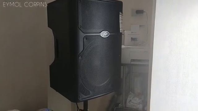 Peavey PVX15 - Powered Speaker 800watts - Sound Test (PVX'p 15 inch Speaker) смотреть онлайн
