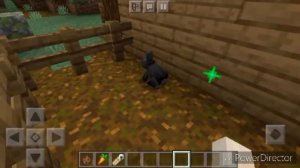 Как приручить кролика в Minecraft?