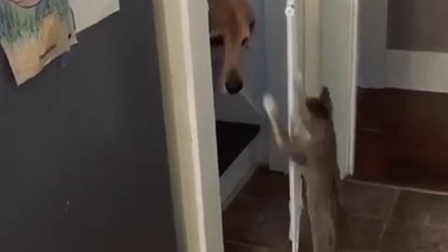 Давай выходи, не очкуй! смотреть онлайн