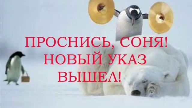 ПОЗИТИВ!!! УЛЫБНИСЬ!!! смотреть онлайн