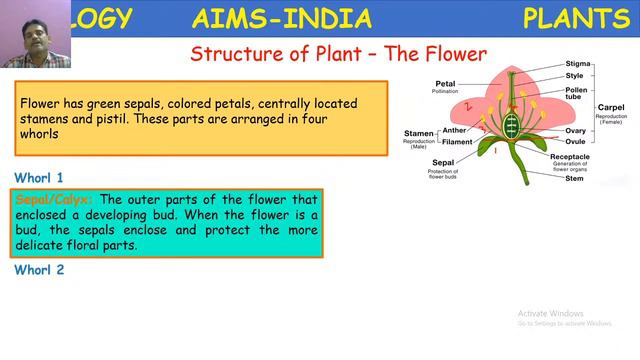 AIMS TODAY Live Stream - 3RD JUNE 2020 - 6TH CLASS - BIOLOGY (3 PM TO 3:45 PM SESSION) смотреть онлайн