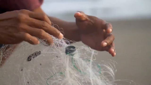 Ocean Documentary смотреть онлайн