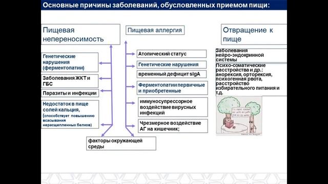 Гормоны под прицелом с доктором Плещёвой. Пищевая аллергия–современные проблемы и пути решения смотреть онлайн