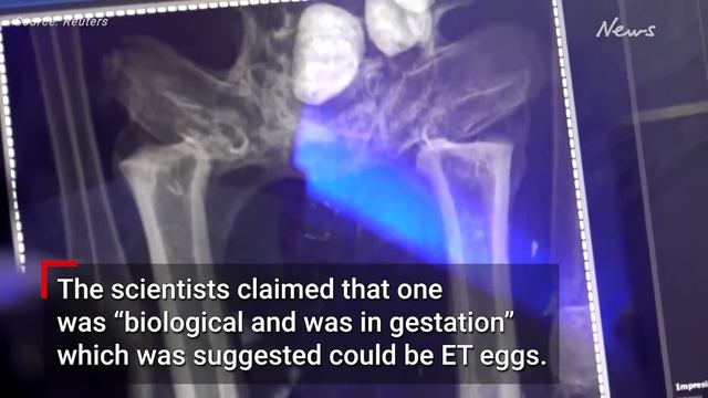 Doctors claim Mexico ‘alien corpses’ are ‘biological’ single skeleton смотреть онлайн