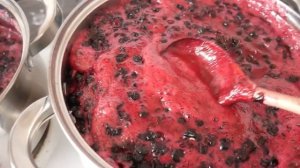 Черника  на зиму - 4 способа как заготовить впрок. Как сушить чернику и варить варенье пятиминутку