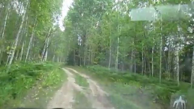 Лесная дорога на Ветлугу, ЧВДХ смотреть онлайн