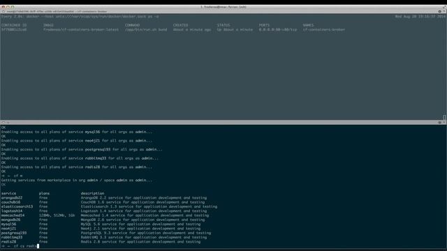 Docker Service Broker for Cloud Foundry - Part 1 смотреть онлайн