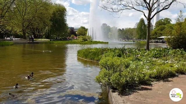 Planten un Blomen | Visit HAMBURG | Spring Season смотреть онлайн