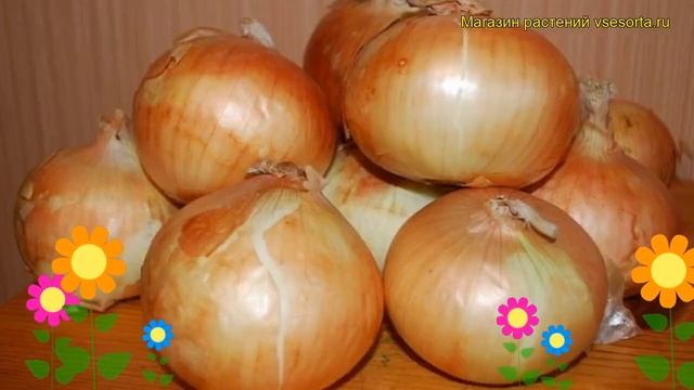 Музыкальные Каверы