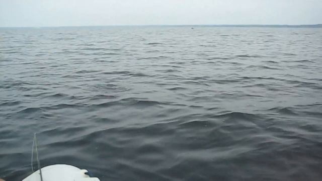 Удачный день на рыбалке. Рыбалка на крупные приманки. На какой размер клюёт лучше? смотреть онлайн