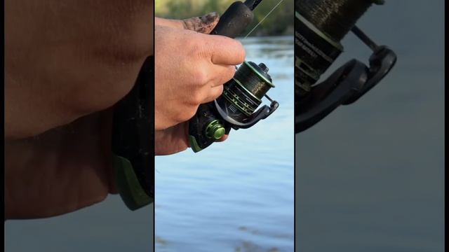 Feeder Concept PILOT 7 🤩 смотреть онлайн