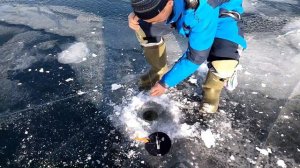 оз. Гусиное. Ловля Щуки по первому льду