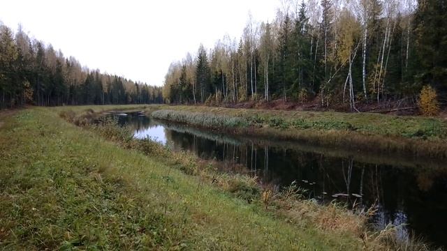 Канал Волга-Уводь. ч.6. Октябрь 2023 смотреть онлайн