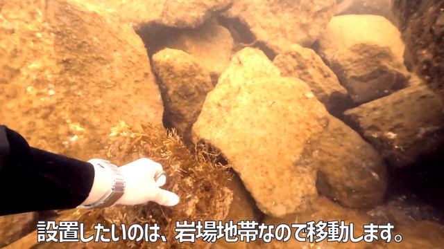 【SDGs】#38 藻場ブロックを設置した4日後の状態がヤバすぎた！ смотреть онлайн