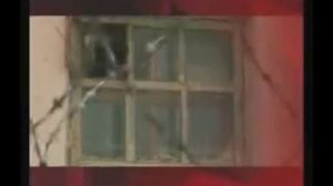 Вася брилиант