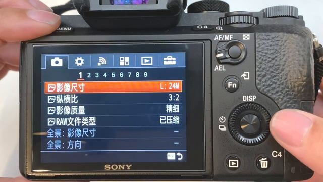Sony camera change language in 45 seconds! смотреть онлайн
