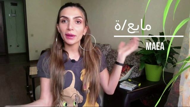 АРАБСКИЙ ЯЗЫК -ДИАЛЕКТ-СТРАННЫЕ ВЫРАЖЕНИЯ 2 смотреть онлайн