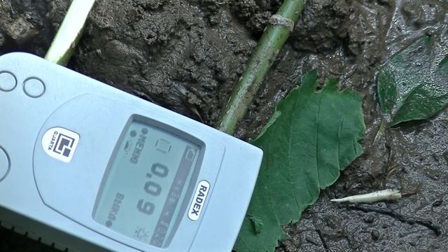 Радиация река Ласьва. Пермский край #93 смотреть онлайн