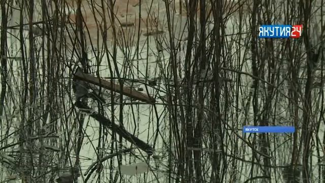 Минприроды Якутии заставит судоходные компании обеспечить полную зачистку на месте разлива смотреть онлайн