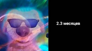 до лета осталось