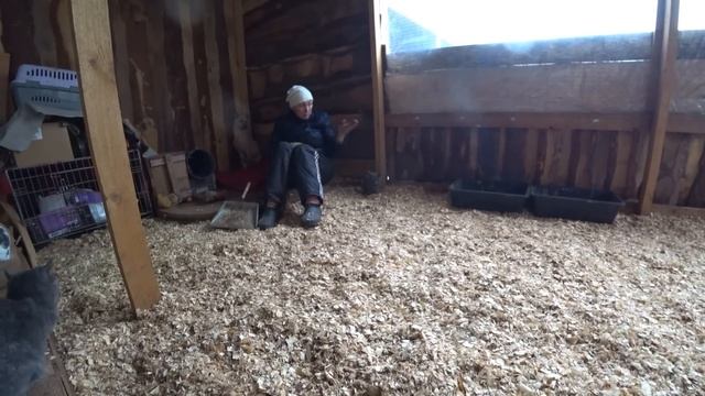 ПРОДОЛЖАЕМ УЛУЧШАТЬ НАШ ПРИЮТ!!! ВСЕ ЭТО БЛАГОДАРЯ ВАМ!! смотреть онлайн