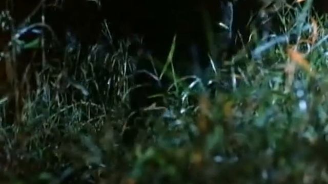 Firebase Ladybird [Tour of Duty] смотреть онлайн