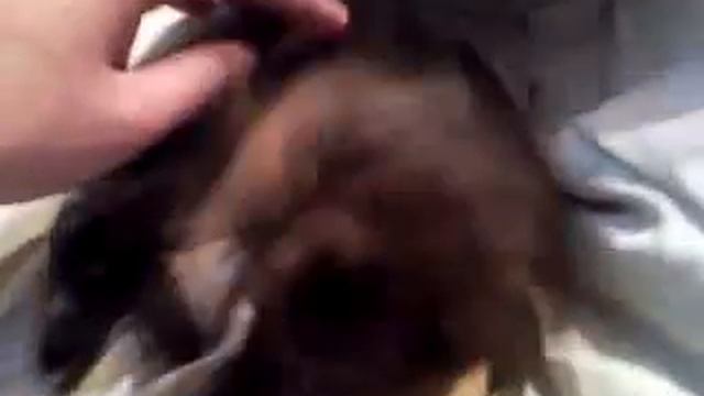 Найденыш смотреть онлайн