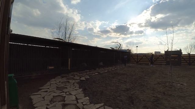 Банкетная площадка _ Парк Сказка / Skazka (Рабочие материалы WIT Agency) смотреть онлайн