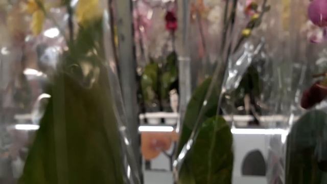 На складе JMP разные новинки. смотреть онлайн