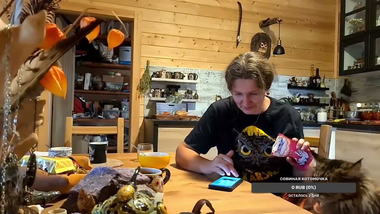 Yoll's добрый stream. Вечерний смотреть онлайн