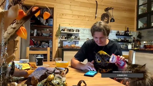 Yoll's добрый stream. Вечерний