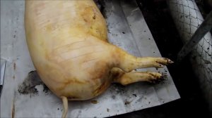 РАЗДЕЛКА СВИНЬИ В КОЛХОЗЕ ОТ НАЧАЛА ДО КОНЦА