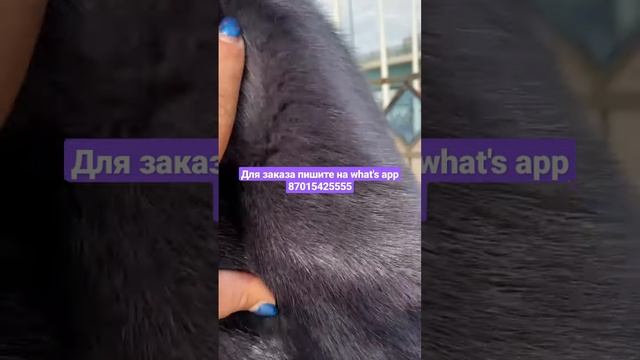 модные норковые шубы смотреть онлайн