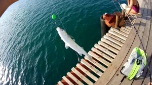 РЫБАЛКА НА МОРЕ.mp4