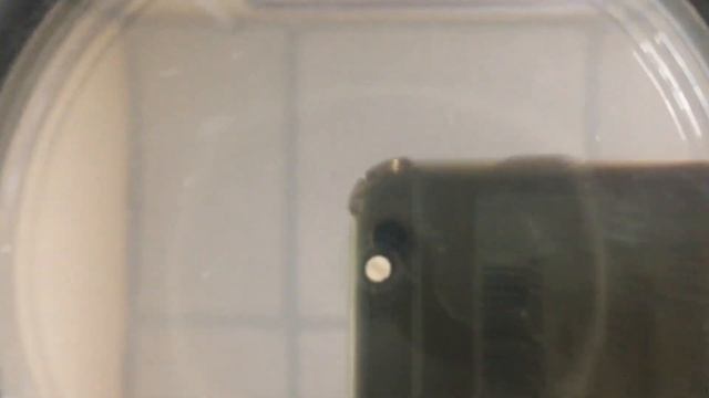 16 сентября 2022 г. смотреть онлайн