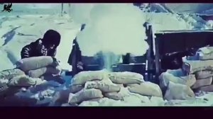 Белая гвардия