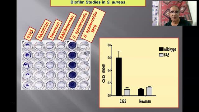 Small Talk on Infection смотреть онлайн